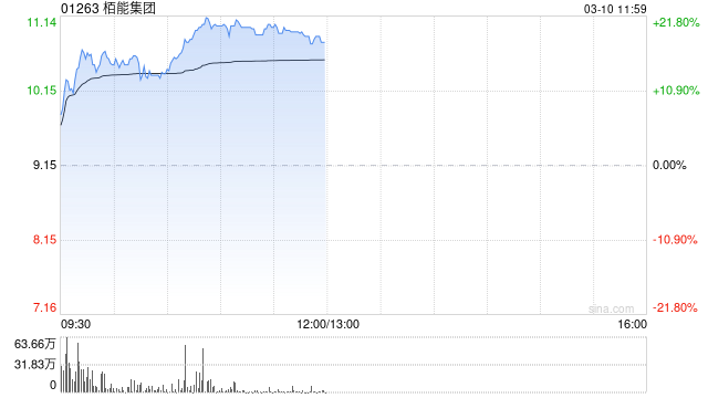 栢能集團(tuán)早盤大漲超20% 2024年全年純利同比增長331%