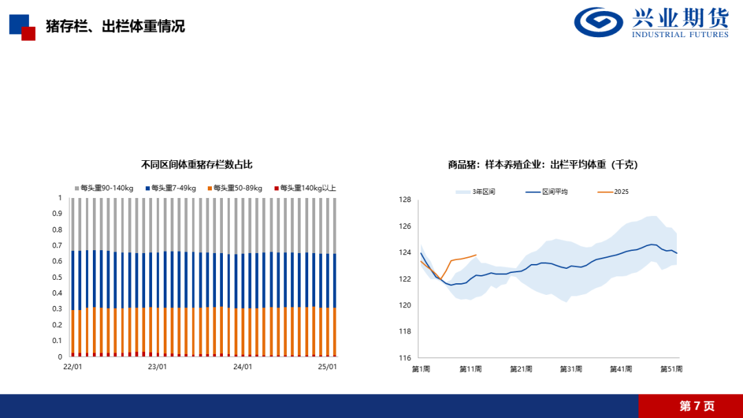 【興期研究·品種聚焦】生豬：消費(fèi)需求預(yù)計(jì)改善，下方仍有支撐